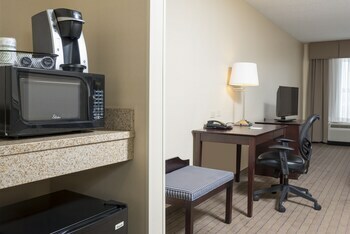 Hotel Holiday Inn Chicago Aurora