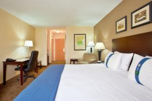 Hotel Holiday Inn Chicago Aurora