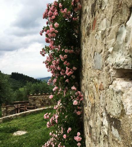 Apartamento Podere Di Belforte