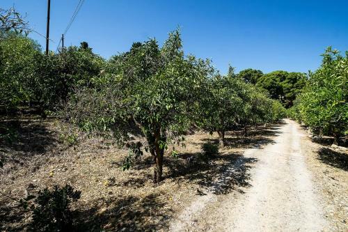 Apartamento Vero Sicily - Sicilian Garden Cottages