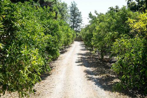 Apartamento Vero Sicily - Sicilian Garden Cottages