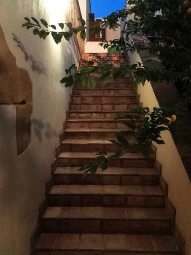 Apartamento Appartamentino In Villa Settecentesca