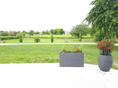 Bed & Breakfast Domaine D' Arcalis