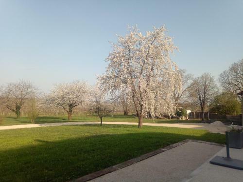 Bed & Breakfast Domaine D' Arcalis