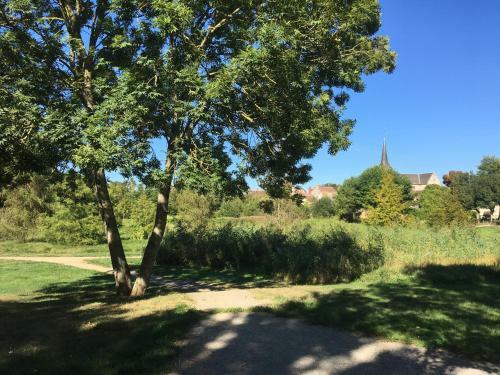 Apartamento Acca Larentia
