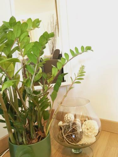 Apartamento Appartement En Plein Centre Ville