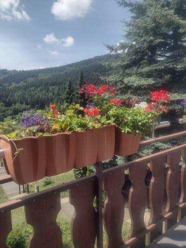Apartamento Ferienwohnung Hild - Botanica