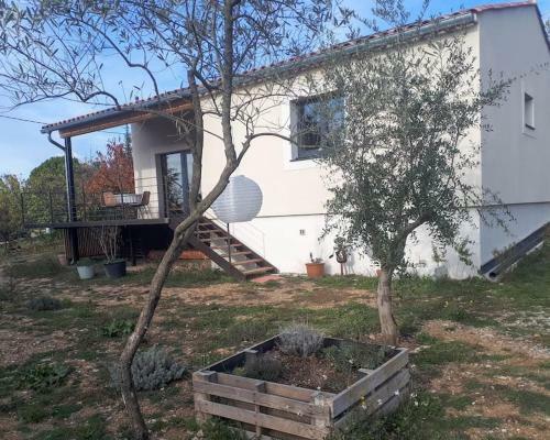 Maison Ossature Bois Avec Terrasse Suspendue
