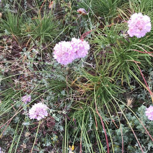 Apartamento Nonsolomare Badesi