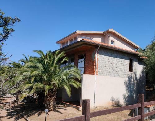 Villa Del Palmeto