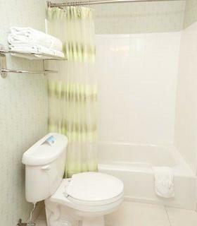 Hotel Springhill Suites Detroit Auburn Hills