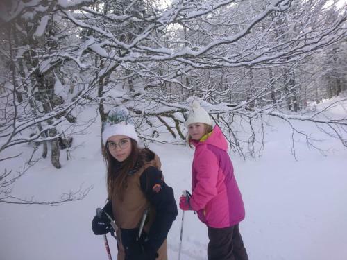 Au Nid De Caroline G�te 4 �toiles