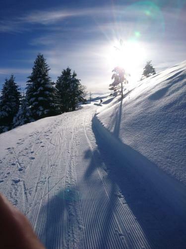 Au Nid De Caroline G�te 4 �toiles