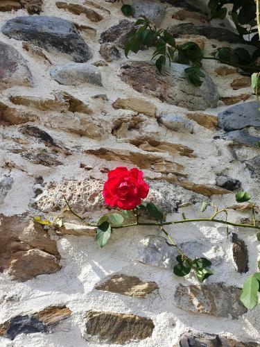 Au Nid De Caroline G�te 4 �toiles