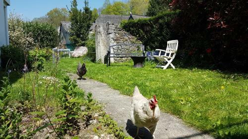 Bed & Breakfast Chambres D'h�tes Chez Val�rie