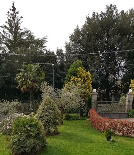 Bed & Breakfast Fili D'erba