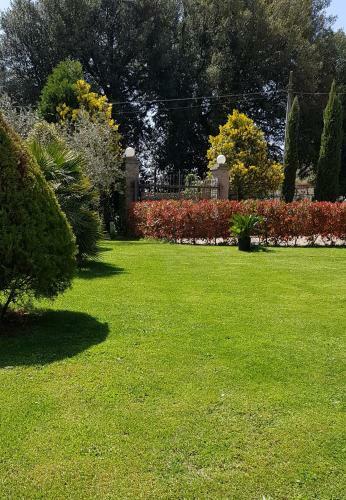 Bed & Breakfast Fili D'erba