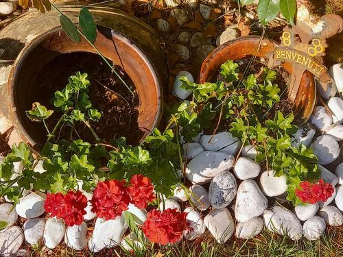Bed & Breakfast Fili D'erba