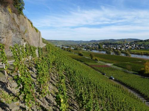 Apartamento Weingut Harald Ludwig