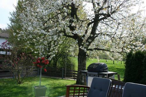 Apartamento Ferienwohnung Am M�hnesee