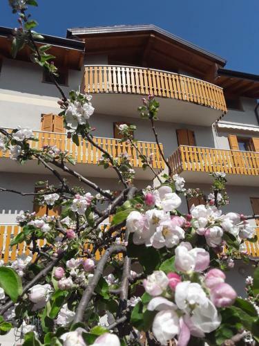 Apartamento Villa Maria Baselga Di Pin� Appartamenti