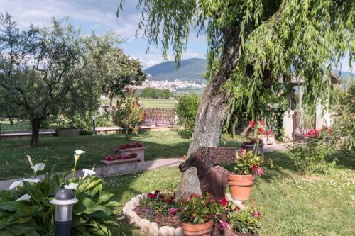 Bed & Breakfast Camere Mariella