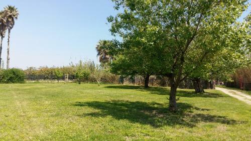 Villa Sole A 50 M Dalla Spiaggia