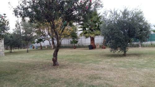 Villa Sole A 50 M Dalla Spiaggia