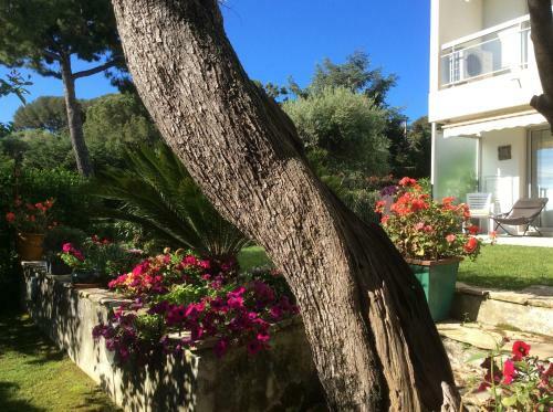 Apartamento Garden Cap D'antibes