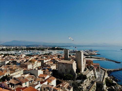 Splendid One-bedroom Apartment -stayinantibes- Picasso 3