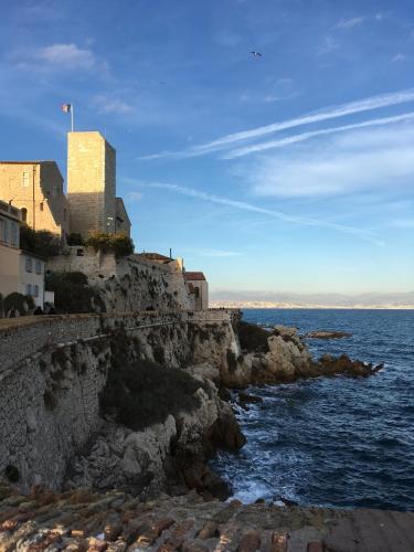 Splendid One-bedroom Apartment -stayinantibes- Picasso 3