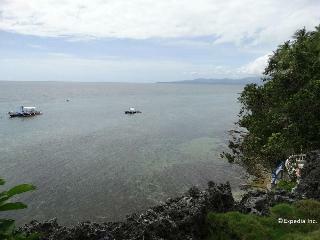 Hotel Blue Star Dive And Resort