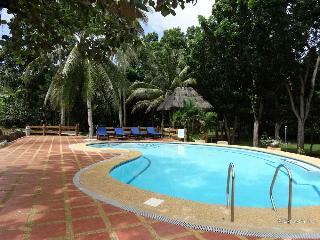 Hotel Blue Star Dive And Resort