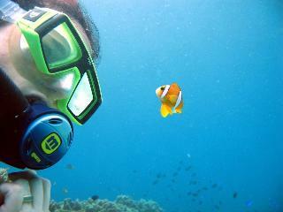 Hotel Blue Star Dive And Resort