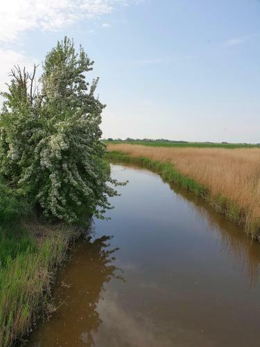 Kleines H�uschen Am Deich, Vor Den Toren Von Sylt