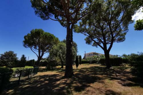 Apartamento Design Studio With Terrace And Swimming Pool