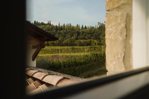 Casa Olivi Apartments