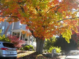 Fleetwood House Bed And Breakfast