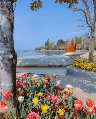 Apartamento Dolcevivere Bardolino