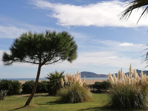Apartamentos Etoile De Mer F2