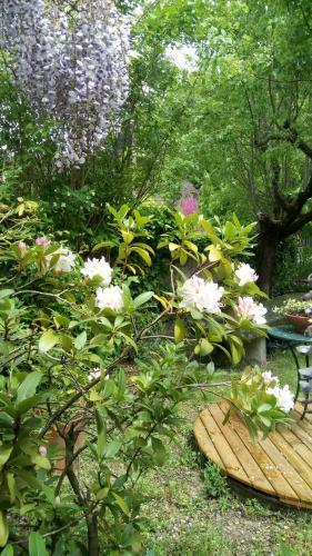 Casa Bartolacci Cozy Apartment (near Florence City Center)