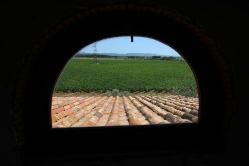Apartamento Podere Campo Alle Serpi