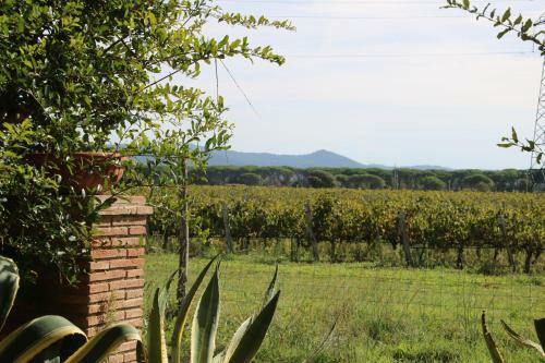 Apartamento Podere Campo Alle Serpi