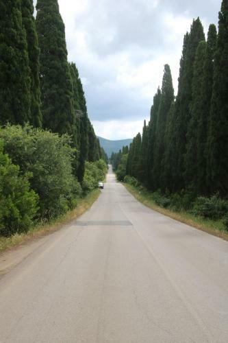 Apartamento Podere Campo Alle Serpi