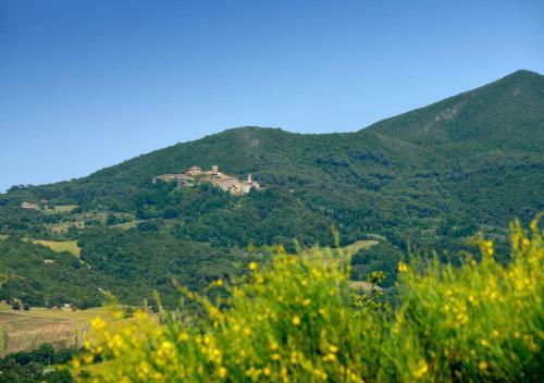 Villa Guardistallo By Mc Luxury Rentals