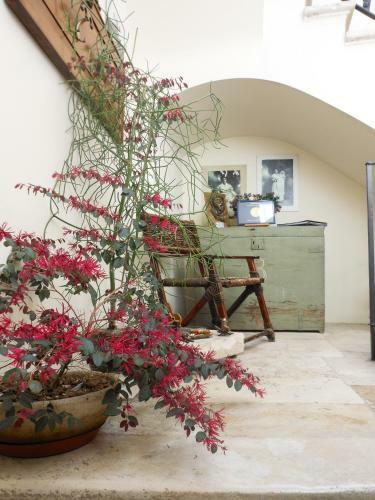 Bed & Breakfast Palazzo Antica Via Appia