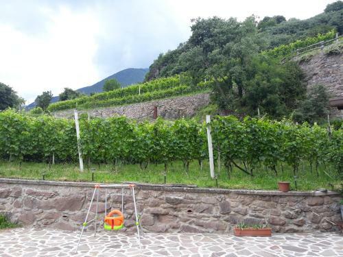 Agroturismo Agriturismo Ruc Del Lac