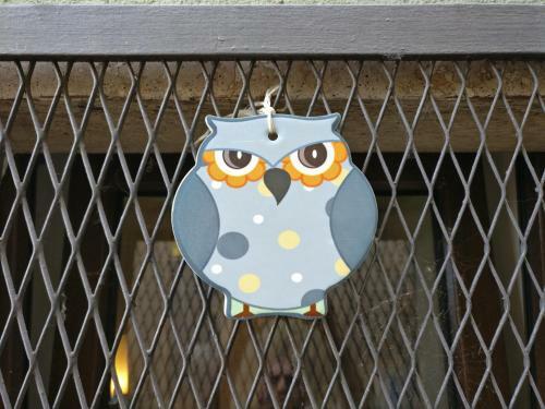 La Chiave Del Gufo - Bojano