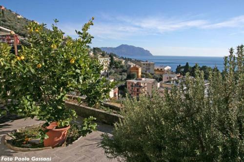 Cav Gli Ulivi Di Bogliasco