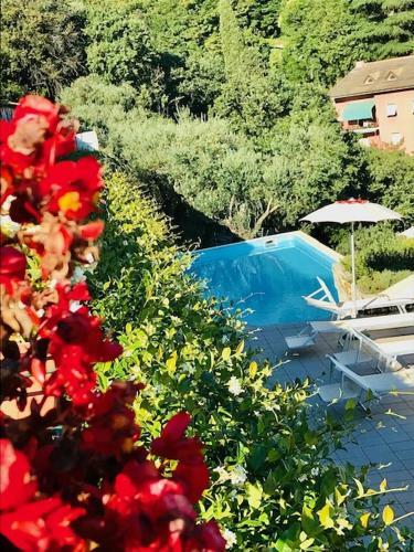 Cav Gli Ulivi Di Bogliasco